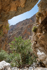 Barren rocky landscape in the foreground with green plants, Aradena gorge, Greece, Crete island, wide angle lens