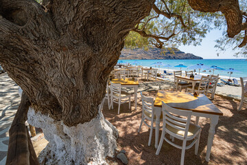 Empty restaurant tables and chairs directly on the beach, shaded by trees, beach with umbrellas, Greece, Crete island, wide angle lens