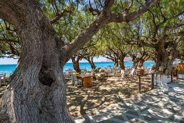 Empty restaurant tables and chairs directly on the beach in the shade of trees, Greece, Crete island, wide angle lens