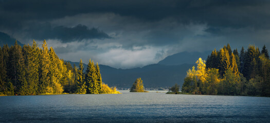 Row of sunlit trees in the middle of a lake, with dramatic clouds