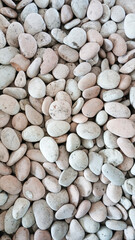 The round river stones are white and smooth. Stone background concept.