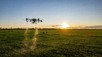 Agro drone works on the field. Field treatment with chemicals. Spraying pesticides against pests. Innovations in the agricultural sector. © SobrevolandPatagonia