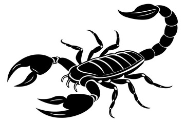 black scorpion species Palamedes fulvenes vector art illustration