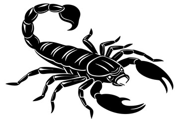  black scorpion species Palamedes fulvenes vector art illustration