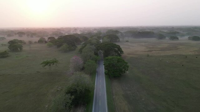 path between fog and trees Colombia Monteria