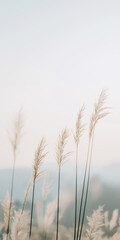 Obraz premium Close-up of plants against a natural background, pastel tones in a film photography style, minimalist aesthetics, mobile phone wallpaper highlighting the beauty of nature and simplicity