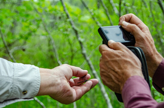 Citizen science