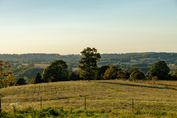 Fototapeta premium wide angle photo of hillside and fields with trees in the late afternoon