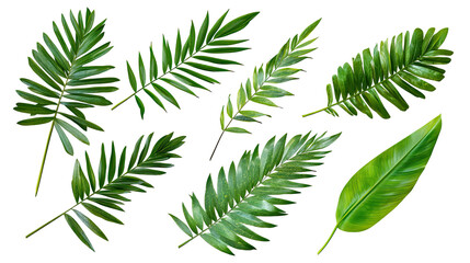 Fototapeta premium Tropical Green Palm Leaves Arranged in a Vibrant Display Generative AI