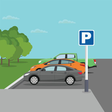 Vector illustration of car parking area in cartoon flat style. Car parking with parking symbol. Vehicle stop in city area with tree and blue background building. 