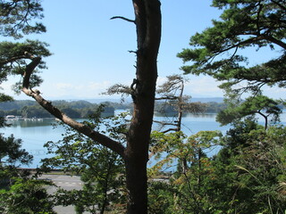 大高森からの松島