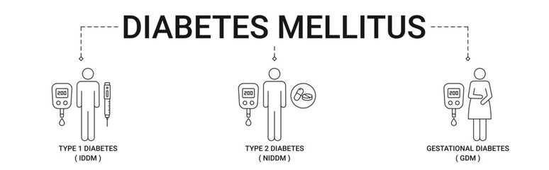 Diabetes Mellitus types banner with type 1, type 2, gestational diabetes icon concept vector illustration