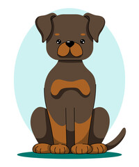Rottweiler. Vector illustration of sitting dog in flat style.