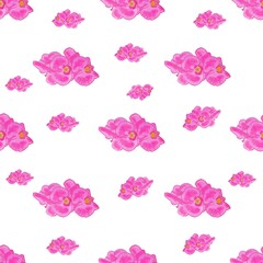 Orchids flowers watercolor illustration, hand drawing. Seamless pattern orchid flowers. Tropical flowers isolated. Vintage pink flowers painting