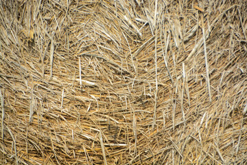 The close-up image reveals the intricate texture of a hay bale, with countless dried stalks intertwined.