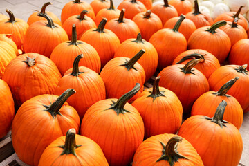 Vibrant display of pumpkins embodies the spirit of Halloween and autumn festivities. The rich, orange hues of the pumpkins contrast with their dark green stems, creating a visually striking image