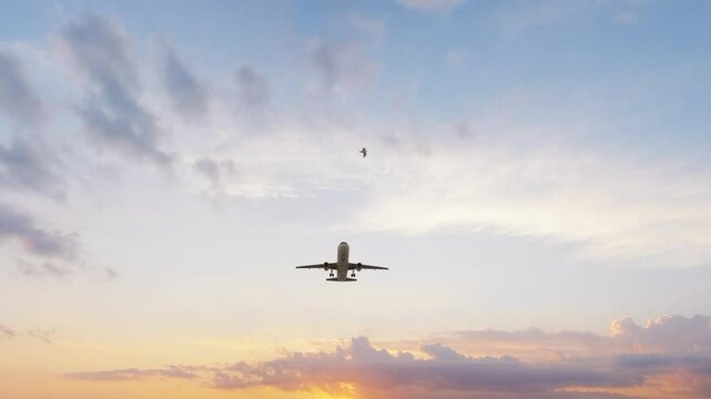 Ultra HD 4K. Airplane flies in sky at sunset day. Travel. Airplane takes off against the background of sunset. 