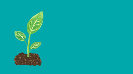 green plant in the soil.