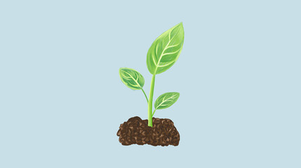 green plant in the soil.
