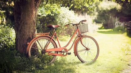 Fototapeta premium Vintage Bicycle by a Tree in a Sunny Park