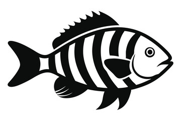 Solid color Sheepshead Fish animal vector design