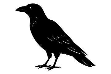 Crow silhouette | vector silhouette illustration on white background