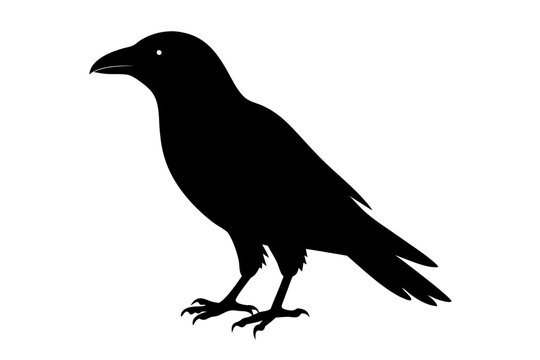 recommend clip art: Crow silhouette | vector silhouette illustration on white background