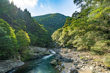 川中自然公園 宮崎県東諸県郡綾町
