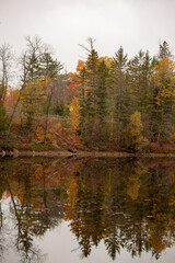 Fototapeta premium autumn forest reflected in the lake