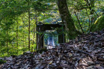 川中自然公園 宮崎県東諸県郡綾町