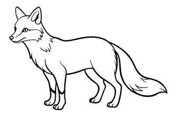 vector illustration of wolf
