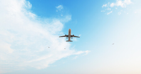 ULTRA HD. Airplane flies in blue sky. Travel. Airplane takes off against the background of blue sky. 