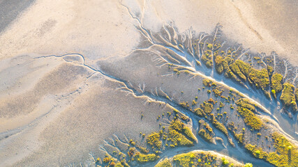 Creek and salt flats with green vegetation in beautiful pattern