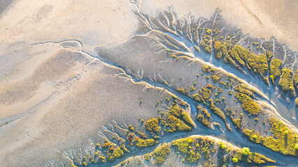 Creek and salt flats with green vegetation in beautiful pattern