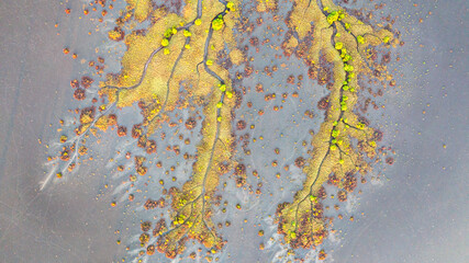 Creek and salt flats with green vegetation in beautiful pattern