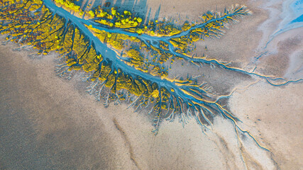 Creek and salt flats with green vegetation in beautiful pattern