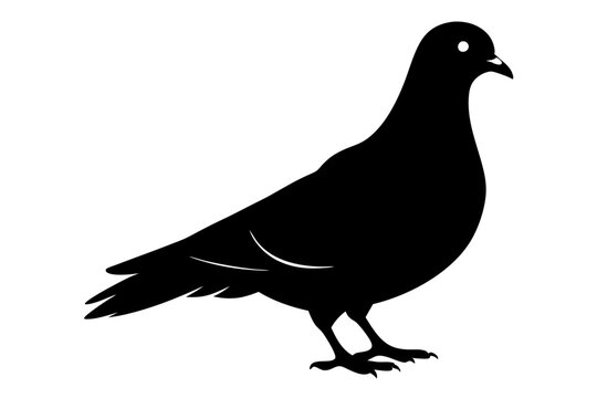 recommend clip art: Pigeon silhouette | vector silhouette illustration on white background