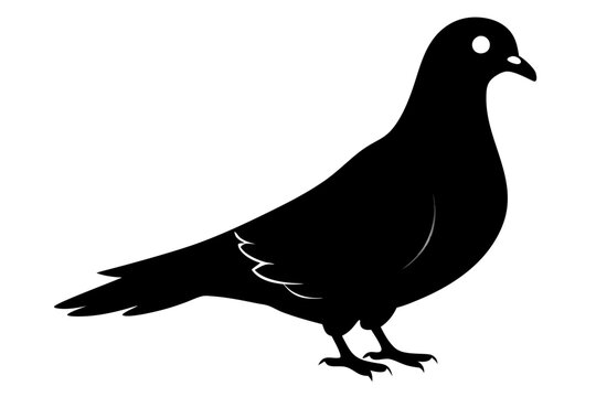 black pigeon silhouette on white background clip art preview
