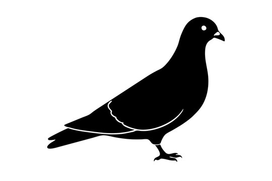 recommend clip art: Pigeon silhouette | vector silhouette illustration on white background