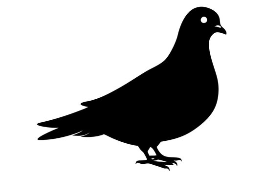 recommend clip art: Pigeon silhouette | vector silhouette illustration on white background