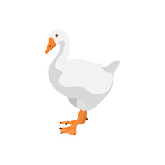Vector illustration of white goose in cartoon flat style. Cute goose or geese domestic bird for logo and illustration resources. Bird icon and symbol in white background. Domestic farming