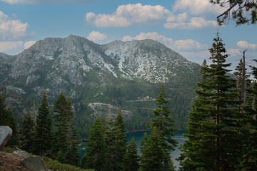 PAISAJE DE INVIERNO CON MONTA&Ntilde;AS HELADAS Y PINOS ALTOS