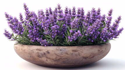 Fototapeta premium lavender in a vase