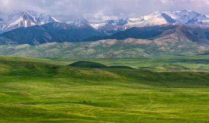 A picturesque plateau against the backdrop of snow-covered peaks in the Trans-Ili Alatau (Kazakhstan)
