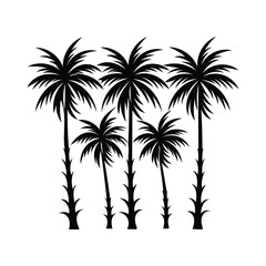 palm tree silhouette