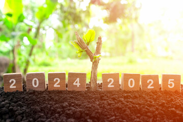 Changing year 2024 to 2025 in wooden blocks with growing plant at sunrise. Welcome new year 2025...
