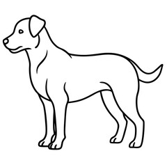simple icon Children coloring book page, line art, black and white, cute style, illustration of a dog