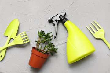 Plant on peat pot and gardening tools on grey background. Top view