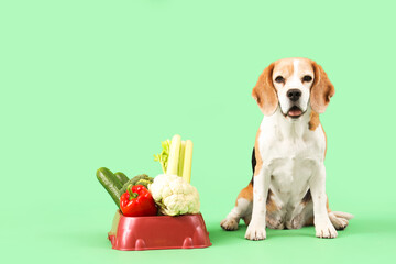 Cute beagle dog and bowl with vegetables on green background