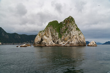 Fototapeta premium Rocky island with birds and seals in the Gulf of Alaska within Kenai Fjords National Park near Seward, Alaska 